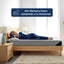 Zen Memory Foam Plus